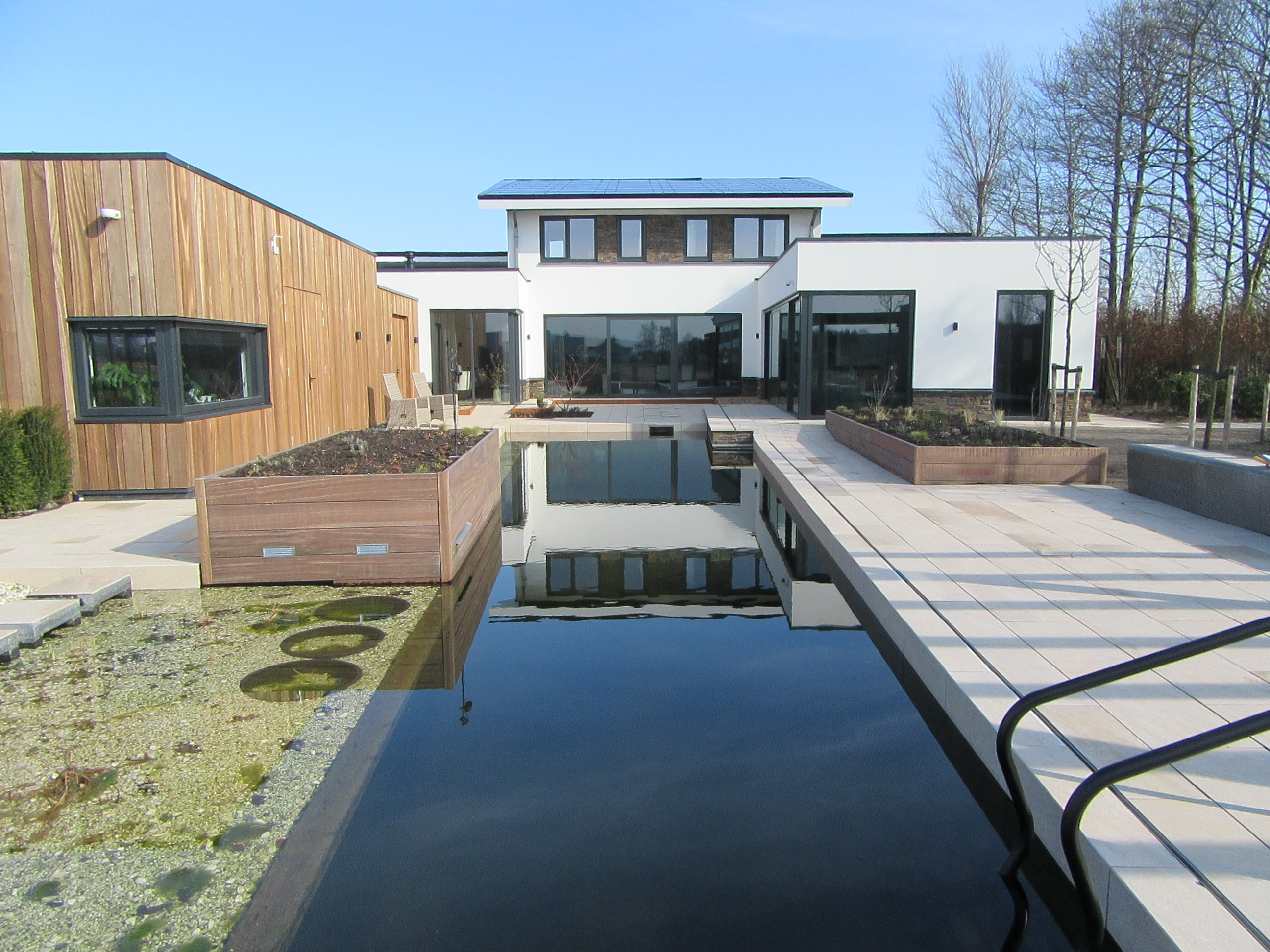 Natuurlijke zwemvijver in Noordwijkerhout