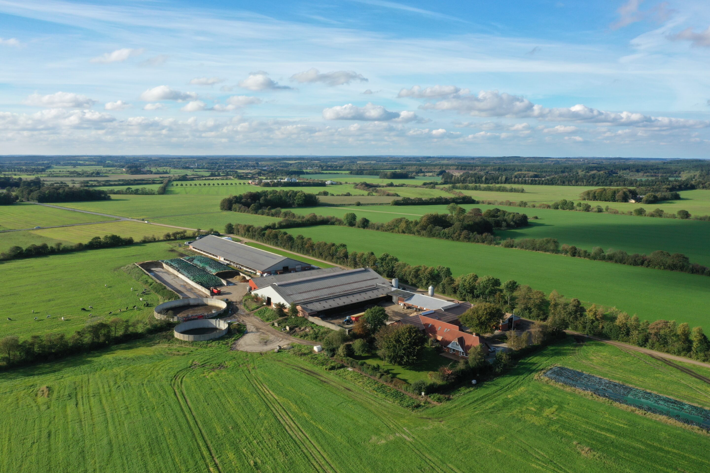 Sleufsilo op erf van veelzijdig Deens melkveebedrijf